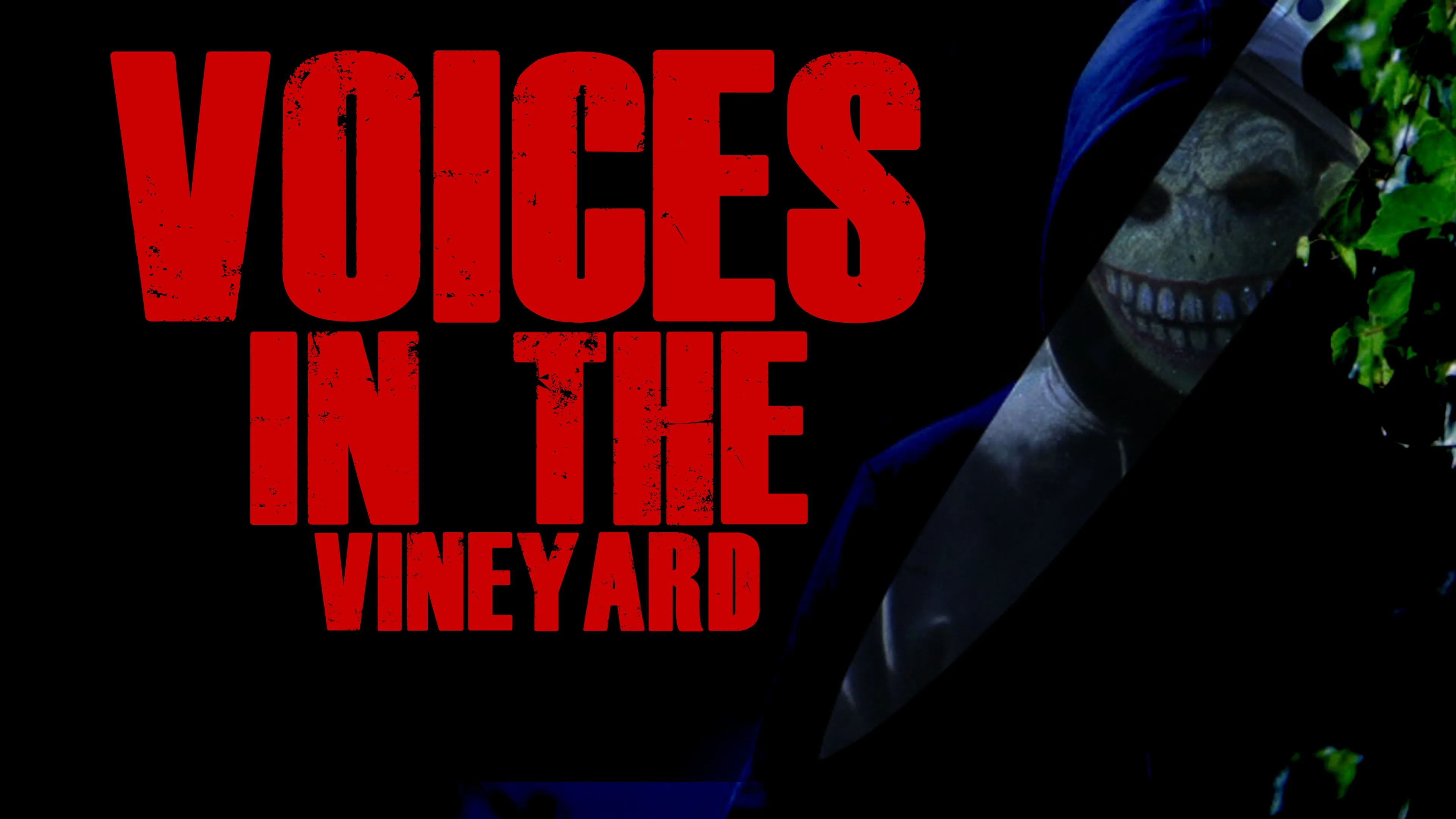 Voices In The Vineyard poster